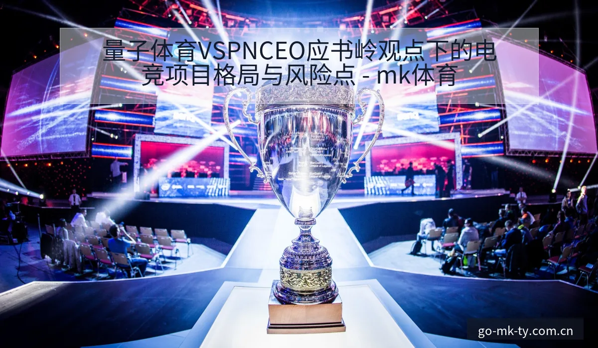 量子体育VSPNCEO应书岭观点下的电竞项目格局与风险点 - mk体育